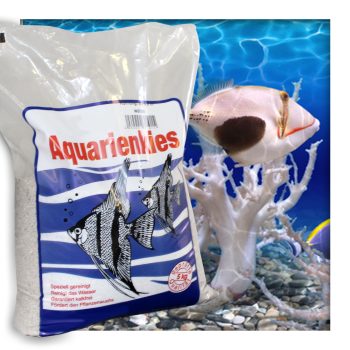 Aquariensand Aquariumsand Bodengrund 0,1-0,9 mm Aquarienkies hochrein Naturweiss 5 kg ( 1x 5 kg Beutel )